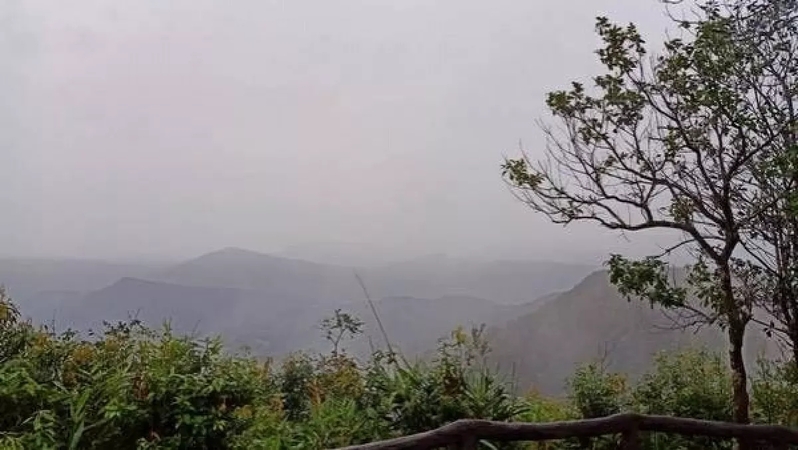 People flock to Loei for misty mornings, blooming fields People flock to Loei for misty mornings, blooming fields