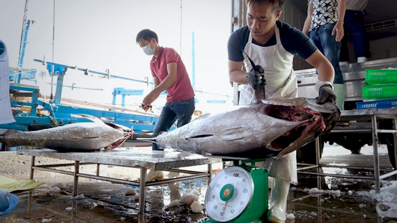 Humane treatment of fishermen “priority area of cooperation” between China and ASEAN: official Humane treatment of fishermen “priority area of cooperation” between China and ASEAN: official