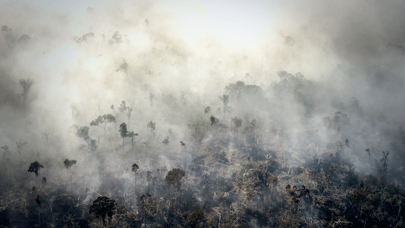 Amazon fires cause Brazil's CO2 emissions to jump amid pandemic Amazon fires cause Brazil's CO2 emissions to jump amid pandemic