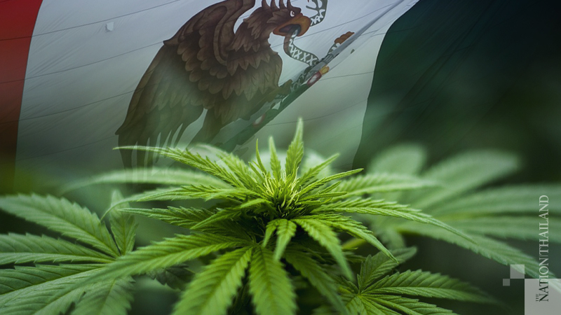 Mexico is poised to legalize marijuana Mexico is poised to legalize marijuana