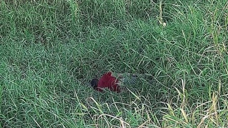 800_511421cafd20dba.jpg?v=1605601410