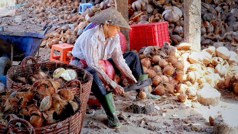USAid, private sector launch sustainability charter for coconut industry USAid, private sector launch sustainability charter for coconut industry