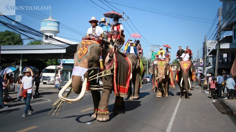 Rumble from the jungle as annual elephant festival shakes Surin Rumble from the jungle as annual elephant festival shakes Surin