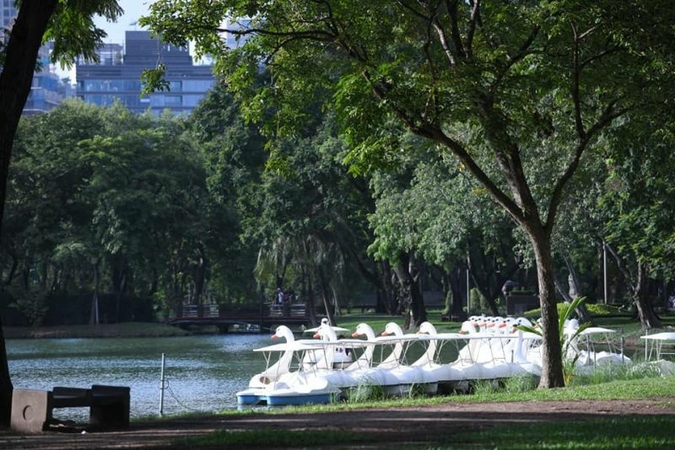 Lumpini Park to get a major facelift before its 100th birthday Lumpini Park to get a major facelift before its 100th birthday