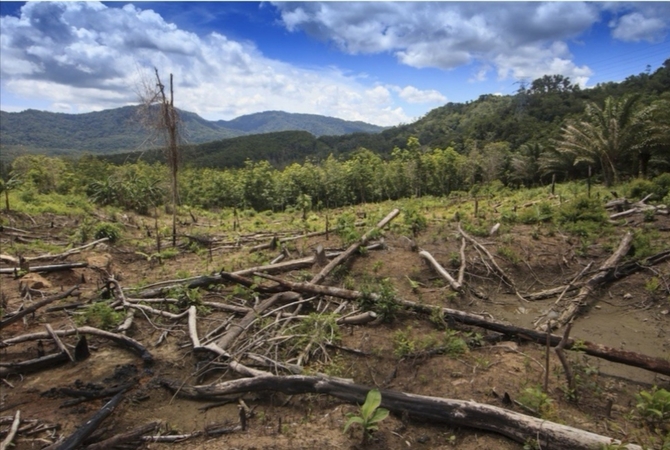 Indonesia, World Bank strike deal on emissions reduction Indonesia, World Bank strike deal on emissions reduction