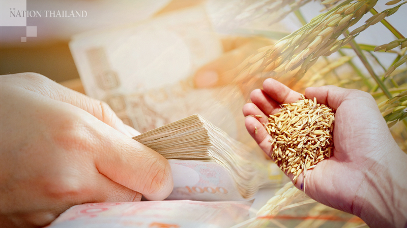 Cabinet mulls extra Bt28.7bn for rice farmers after price plummets Cabinet mulls extra Bt28.7bn for rice farmers after price plummets