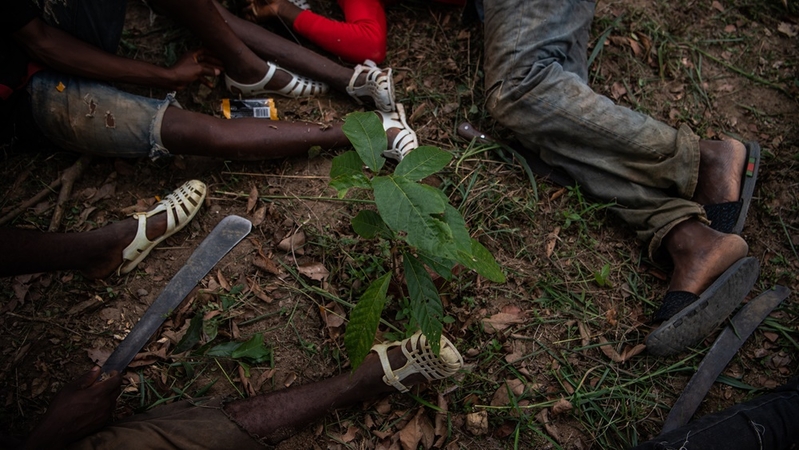 Children from Burkina Faso take a break in 2019 on a cocoa farm near the village of Niambly, Ivory Coast. MUST CREDIT: Washington Post photo by Salwan Georges