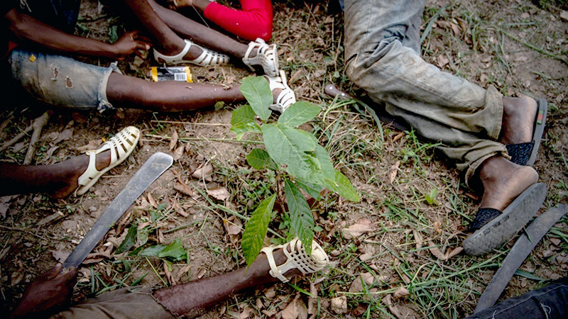 Supreme Court weighs child-slavery case against Nestlé USA, Cargill Supreme Court weighs child-slavery case against Nestlé USA, Cargill