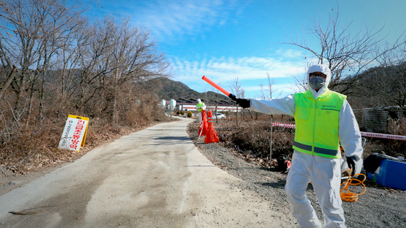 S. Korea confirms highly pathogenic avian influenza case from wild birds S. Korea confirms highly pathogenic avian influenza case from wild birds