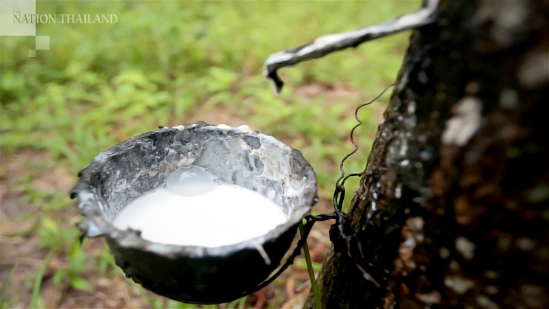 Rubber price to bounce higher next year: experts Rubber price to bounce higher next year: experts