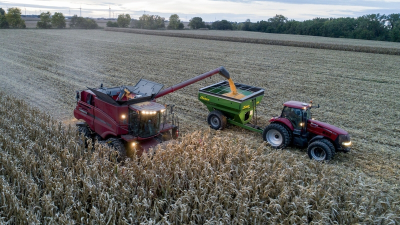 A combine harvester reaps in an aerial image taken over Princeton, Ill., on Sept. 29, 2020. Through the trade war and open hostilities at the highest political levels, pig farmers in China and crop farmers in the U.S. have become increasingly interdependent. MUST CREDIT: Bloomberg photo by Daniel Acker