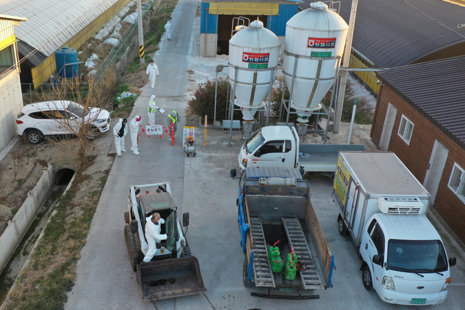 Quarantine officials prepare to cull ducks at a farm in Naju, 355 kilometers south of Seoul, on Wednesday. (Yonhap)