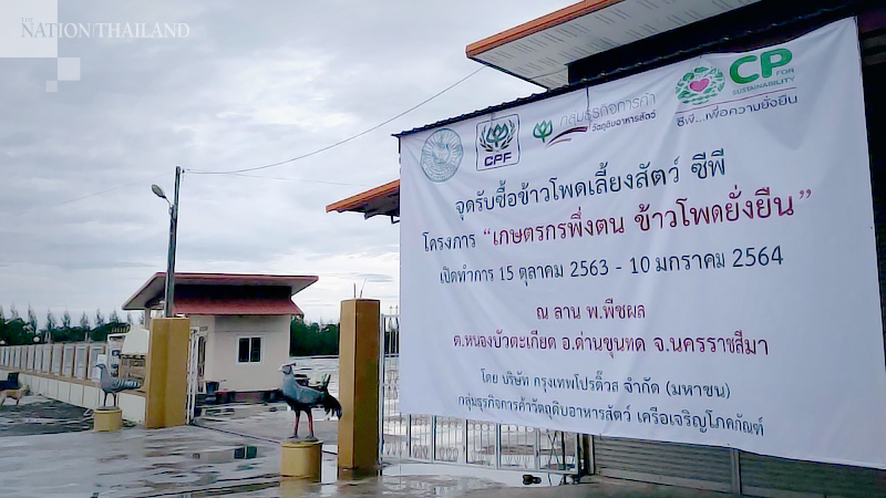 CP Foods promises corn bought from responsible, eco-friendly sources CP Foods promises corn bought from responsible, eco-friendly sources