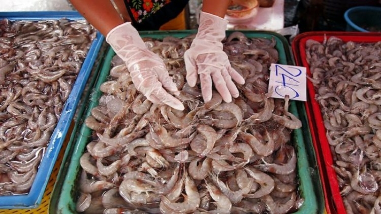 Trade counsellors posted abroad told to boost trust in Thai seafood Trade counsellors posted abroad told to boost trust in Thai seafood
