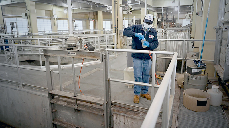 Universities, cities and states are testing wastewater for the virus Universities, cities and states are testing wastewater for the virus