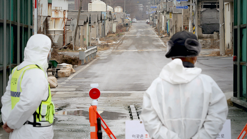 S. Korea investigating new suspected case of highly pathogenic bird flu S. Korea investigating new suspected case of highly pathogenic bird flu