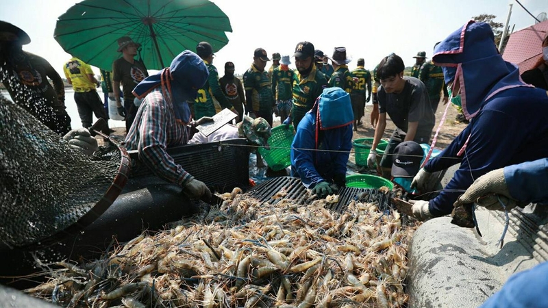 Photos by Supakit Khumkun