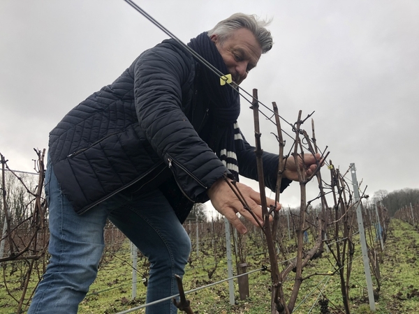 Fewer people than usual will pop bottles of bubbly at midnight. Pour one out for France's Champagne region. Fewer people than usual will pop bottles of bubbly at midnight. Pour one out for France's Champagne region.