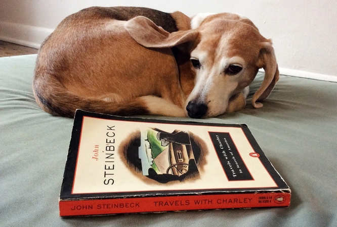 John Steinbeck's classic travelogue showcases man's best road-trip friend John Steinbeck's classic travelogue showcases man's best road-trip friend