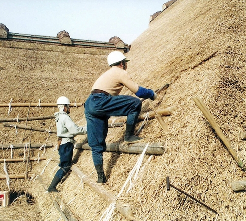Techniques to restore thatched roofs are one of the 17 skills approved for addition to the UNESCO Intangible Cultural Heritage list.MUST CREDIT: Japan News-Yomiuri
Photo by: Japan News-Yomiuri — Japan News-Yomiuri