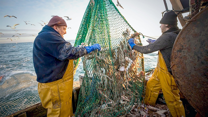 Brexit deal may mean less British cod for fish & chips Brexit deal may mean less British cod for fish & chips