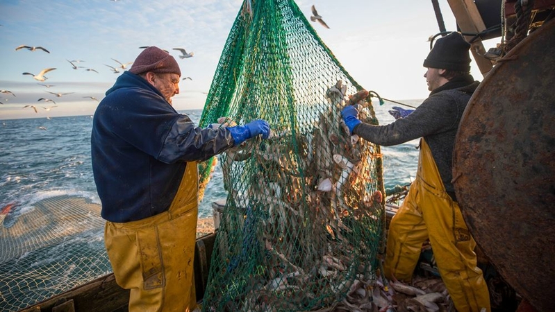 Fishermen from Newhaven sort their catch in the English Channel on Jan. 10. MUST CREDIT: Bloomberg photo by Jason Alden