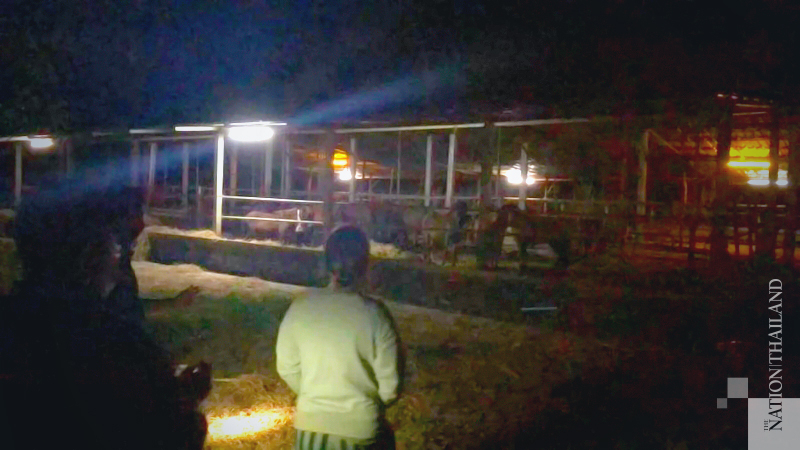 Crackdown on alleged illegal horse meat operation in Khon Kaen Crackdown on alleged illegal horse meat operation in Khon Kaen