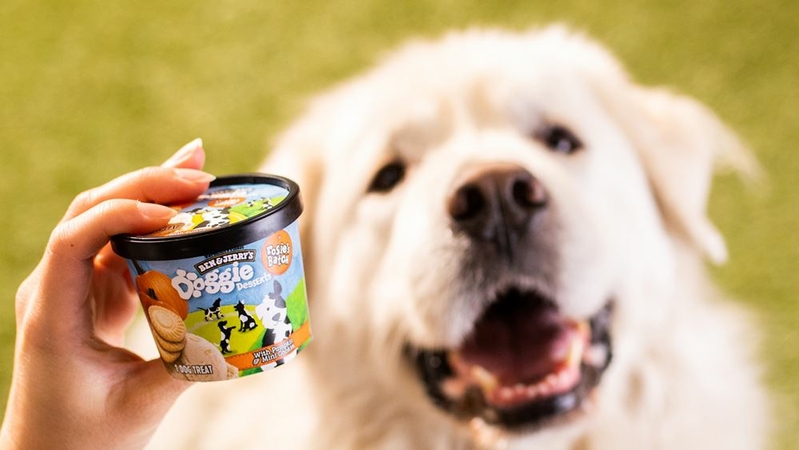 Ben & Jerry's this week announced the debut of Doggie Desserts: four-ounce cups of mostly nondairy frozen treats, one featuring pumpkin with cookies and another with peanut butter and pretzels.MUST CREDIT: Ben & Jerry's handout photo