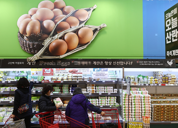 S. Korea culls 19.9m poultry, raises guard against bird flu S. Korea culls 19.9m poultry, raises guard against bird flu