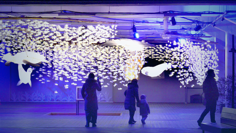 Sea of light Sea of light