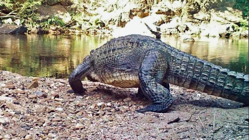 Photo credit: Kaeng Krachan National Park