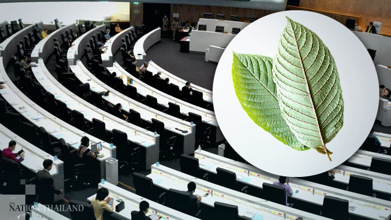 MPs vote to remove kratom from narcotics list MPs vote to remove kratom from narcotics list