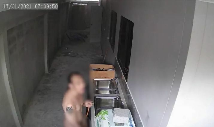 800_29d9ba8fc6936d1.jpg?v=1612252462