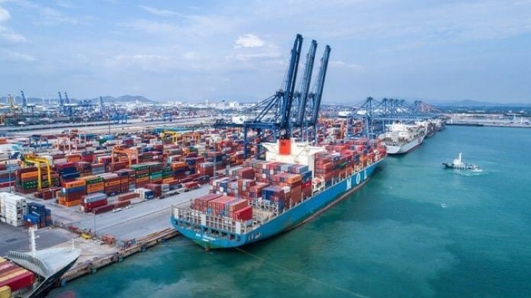 TNSC wants container shortage fixed, bemoans freight fee increases by other countries TNSC wants container shortage fixed, bemoans freight fee increases by other countries