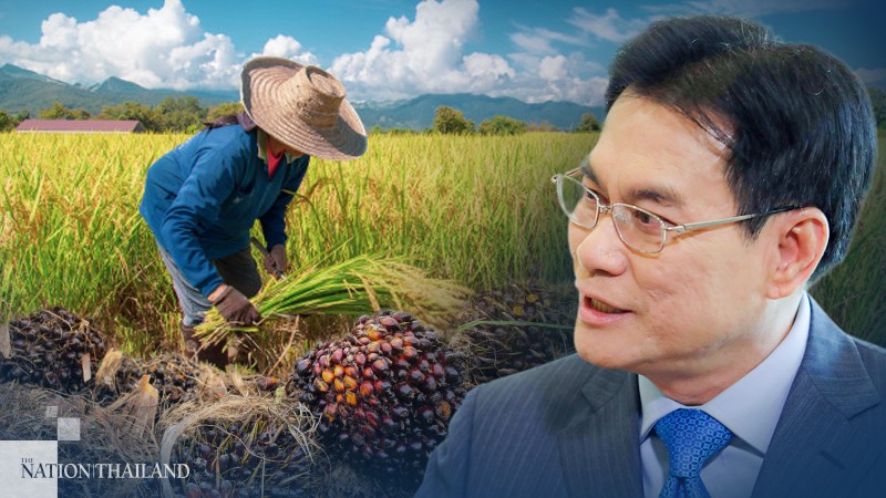 Cabinet okays Bt32.6bn subsidy for rice, oil palm farmers Cabinet okays Bt32.6bn subsidy for rice, oil palm farmers