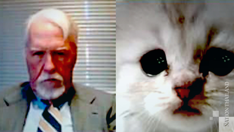 'I'm not a cat': Lawyer's struggle with Zoom filters makes for instant Internet catnip 'I'm not a cat': Lawyer's struggle with Zoom filters makes for instant Internet catnip