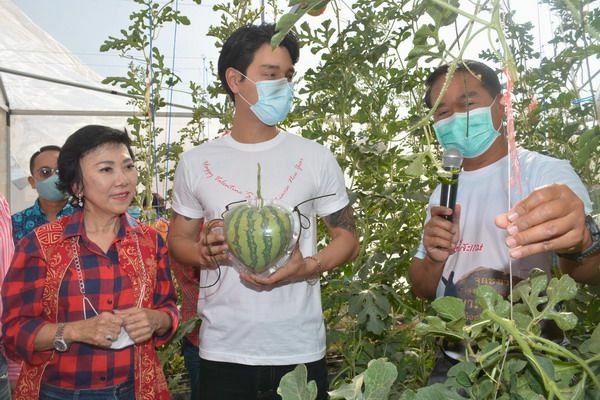 Heart-shaped watermelon goes for over Bt100,000 at Si Sa Ket auction Heart-shaped watermelon goes for over Bt100,000 at Si Sa Ket auction