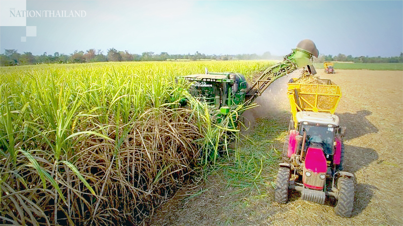 Govt sets price, yield rate for sugarcane, processed sugar Govt sets price, yield rate for sugarcane, processed sugar