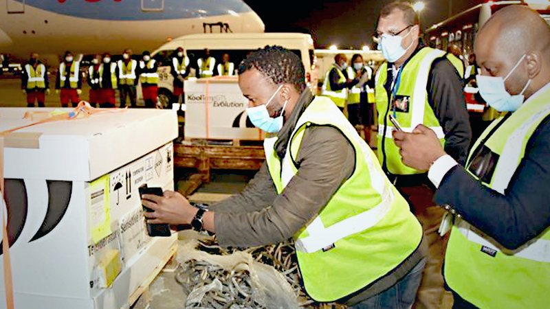 South Africa begins vaccine rollout after J&J shots arrive South Africa begins vaccine rollout after J&J shots arrive