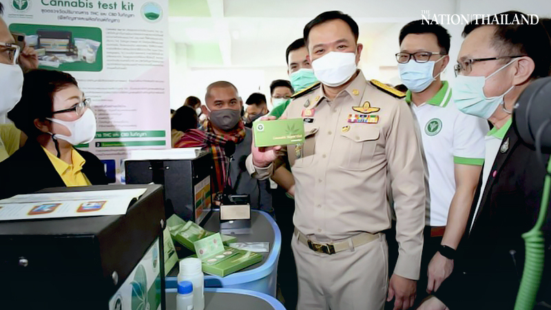 New institute set up to provide correct info on medical marijuana in Thailand New institute set up to provide correct info on medical marijuana in Thailand