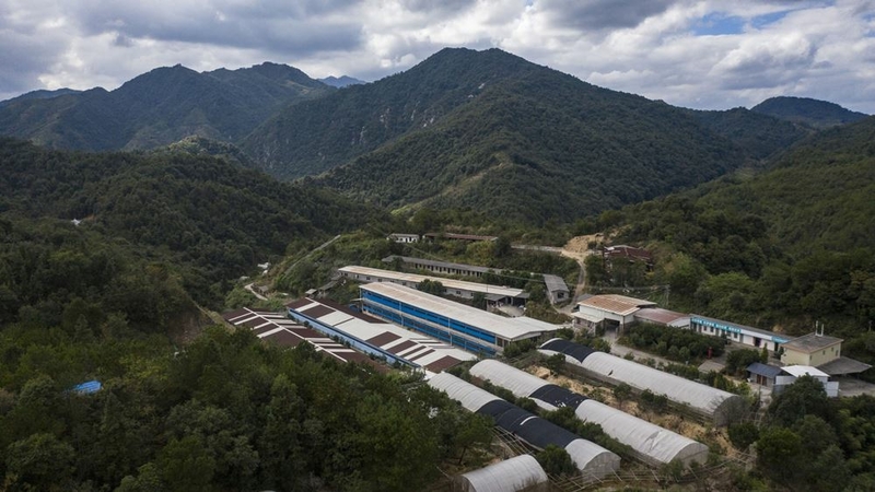 Alibaba, Pinduoduo take on China's looming food crisis Alibaba, Pinduoduo take on China's looming food crisis