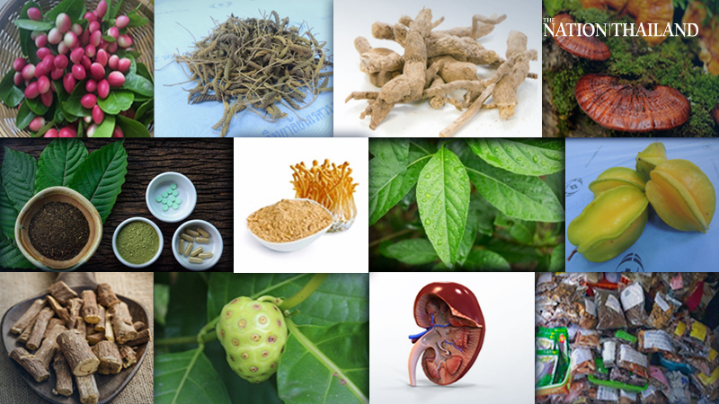 Beware of herbal miracle cures, warns kidney expert Beware of herbal miracle cures, warns kidney expert