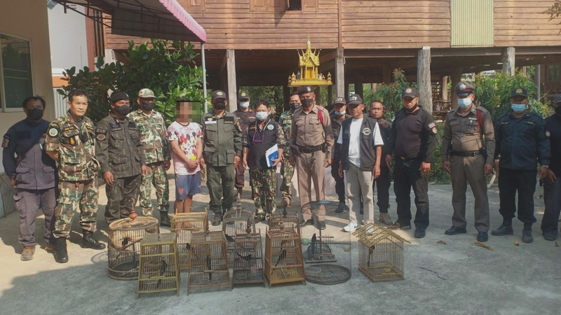 Officials swoop down on Sukhothai house, arrest owner for allegedly selling protected birds Officials swoop down on Sukhothai house, arrest owner for allegedly selling protected birds