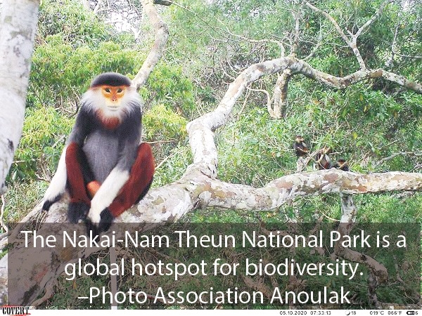 Globally threatened species recorded in Lao national park Globally threatened species recorded in Lao national park