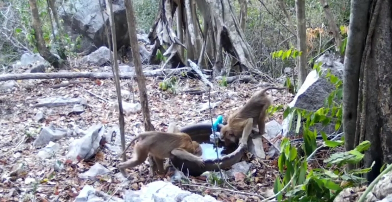 Photo: Facebook @DNP1362 