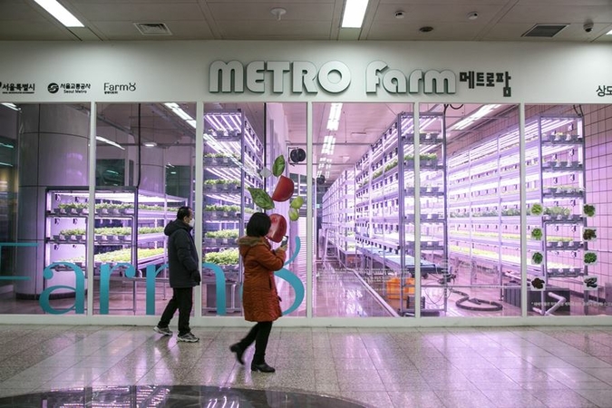 Marijuana and makeup are new growth areas for vertical farms Marijuana and makeup are new growth areas for vertical farms