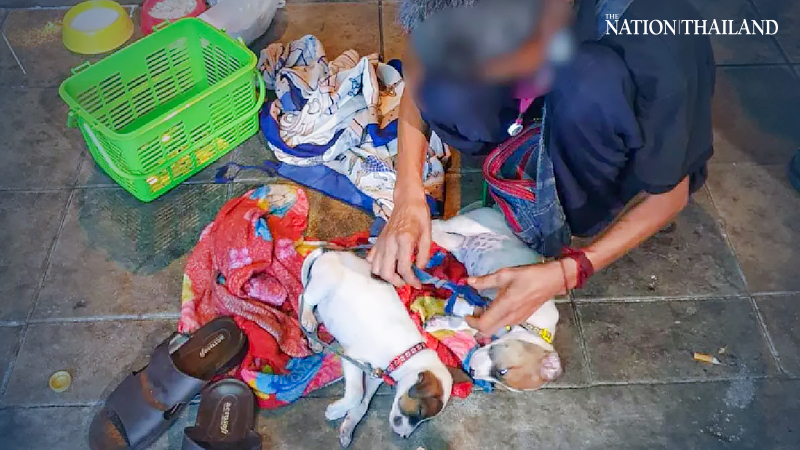 Bang Rak beggar nabbed for using pups to touch kind souls for money Bang Rak beggar nabbed for using pups to touch kind souls for money