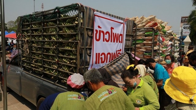 Nakhon Ratchasima mulls measures to tackle sweet corn oversupply Nakhon Ratchasima mulls measures to tackle sweet corn oversupply