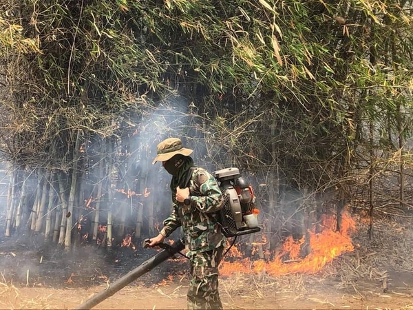 Slow-moving turtle pulled to safety in Chiang Mai forest fire Slow-moving turtle pulled to safety in Chiang Mai forest fire
