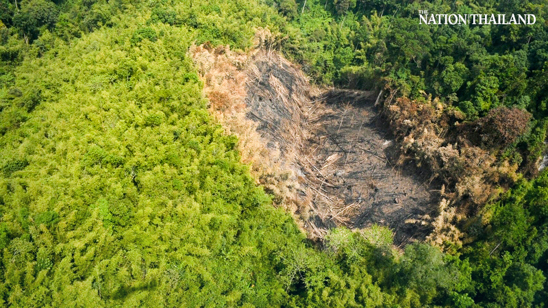 Aerial photos reveal forest encroachment in Kaeng Krachan National Park Aerial photos reveal forest encroachment in Kaeng Krachan National Park